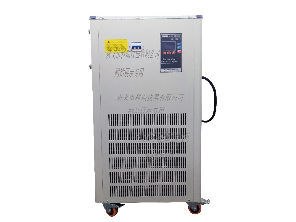 DLSB-10L低溫冷卻液循環泵